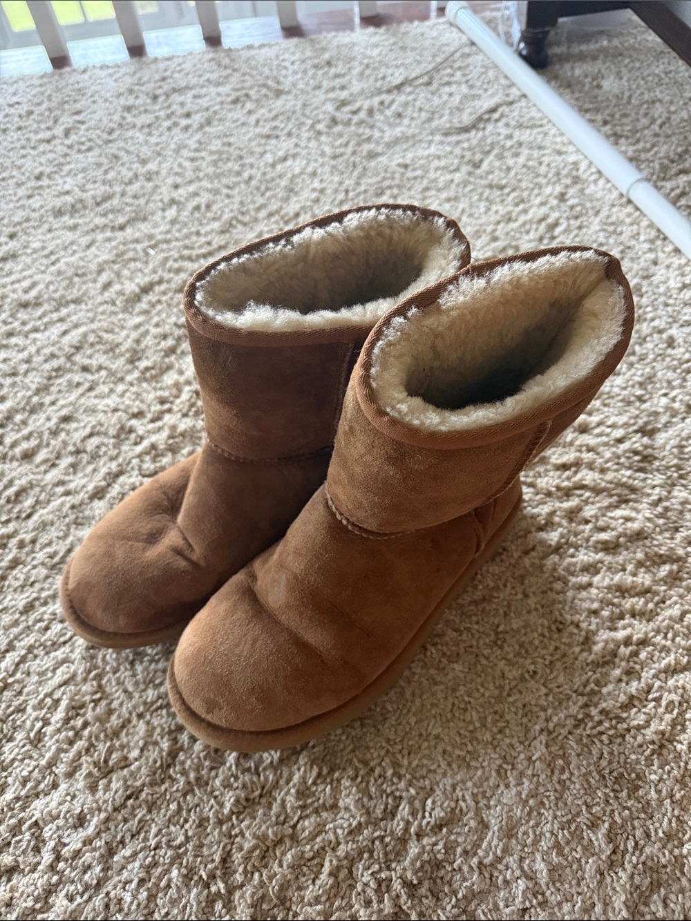 Women's Uggs Chestnut Boots